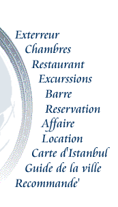 Istanbul Hotel,turkey hotel,istanbul hotels,istanbul lodging,hotel in istanbul